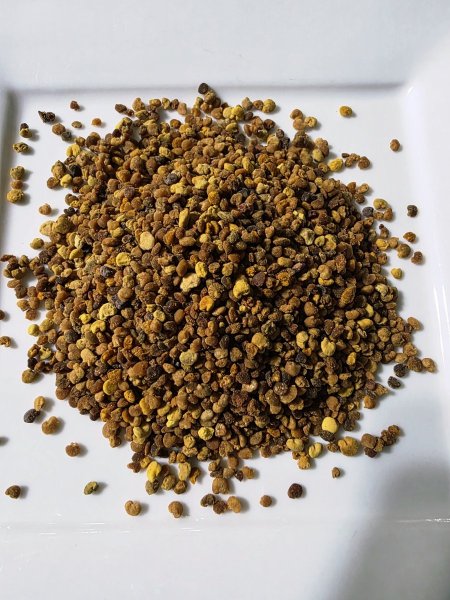 حبوب اللقاح